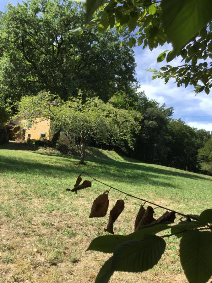 Logis Des 4 Fees Et Son Bain Nordique Villa Sainte-Nathalène Exteriör bild